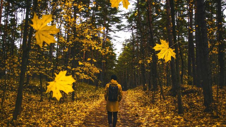 Un buon proposito per l’anno nuovo: camminare consapevolmente